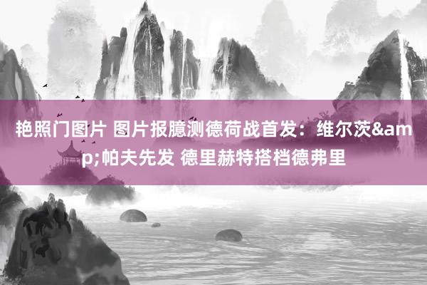 艳照门图片 图片报臆测德荷战首发：维尔茨&帕夫先发 德里赫特搭档德弗里